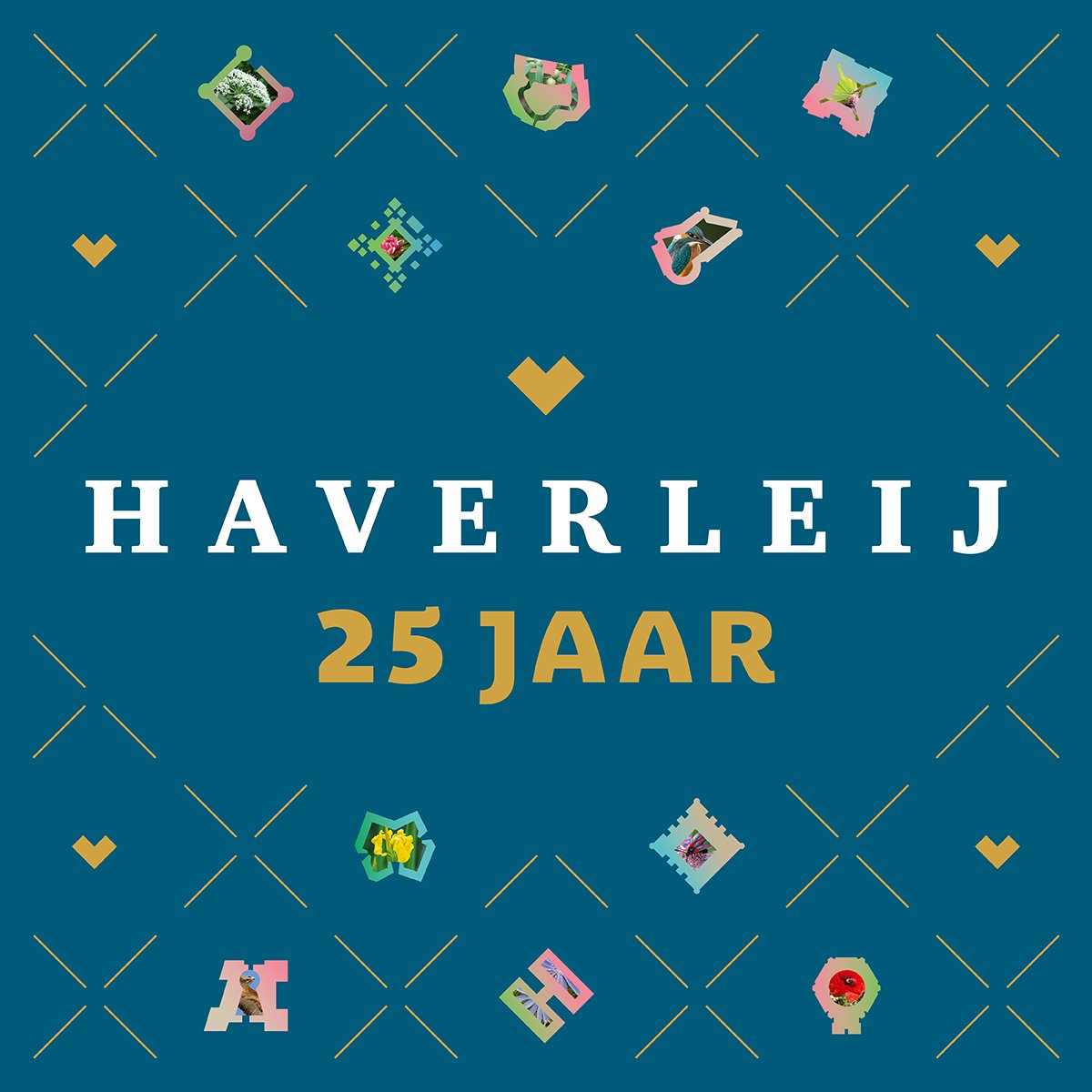 Haverleij 25 jaar